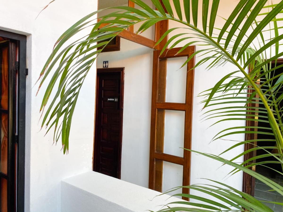 Hostel Inn Сан Мигел де Аленде Екстериор снимка