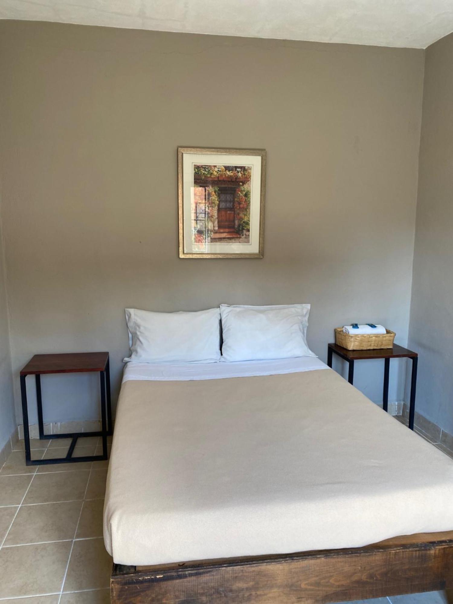 Hostel Inn Сан Мигел де Аленде Екстериор снимка