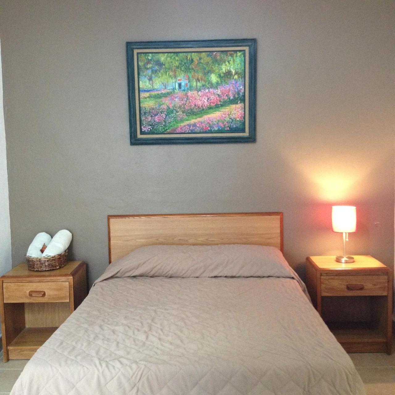 Hostel Inn Сан Мигел де Аленде Екстериор снимка
